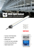 Lampes de grange LED T16 dimmables 80W avec contrôle intelligent RS485 pour l'éclairage des étables laitières, garantie 5 ans, indice de protection IP67, anti-impact