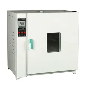 Customisable Hot Air Drying Oven Laboratory Use Industrial Laboratory Use Food Electric High Temperature Vacuum Drying Oven