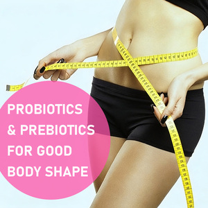 Probióticos y Prebióticos en Polvo Directo de Fábrica, Streptococcus Thermophilus, Normaliza la Diarrea, Mejora la Salud Intestinal, Apoya la Digestión - Product Image 6