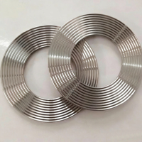 Junta de Brida RTJ de Acero Inoxidable 304 de Alta Calidad ASME B16.20 con Anillo de Sellado Metálico, Juntas Octogonales para la Industria Pesada