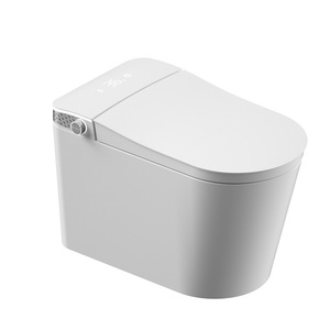 Inodoro Inteligente Taiyue Sanitary Ware, de Una Pieza, con Tapa Automática, para Hogar y Hotel - Product Image 5