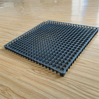 Tapis de drainage en PP 2 m HDPE, plante artificielle de 30mm, bâche de drainage, toit de jardin, géo, prix