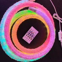 Guirlandes lumineuses LED néon tressées 5V, alimentées par USB/WiFi, contrôlées par application, indice de protection IP65, 30 LED/m, synchronisation musicale, matériau en peluche enveloppé, festivals