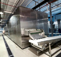 Industriële snelvriesmachine met vloeibaarbed voor de productie van bevroren voedsel (fruit, groenten, granen, snacks)