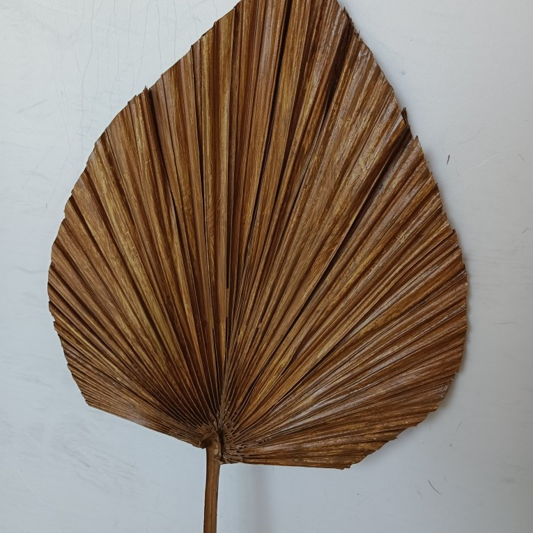 สีน้ำตาล