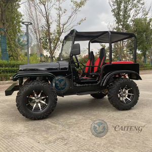 Vehículos Eléctricos de 2 Plazas, Autos Usados, Jeep de Gasolina, Mini Jeep de Alta Velocidad, ATV de <span class=keywords><strong>200cc</strong></span> 250cc, Jeep UTV de Gasolina para Niños y Adultos - Product Image 5