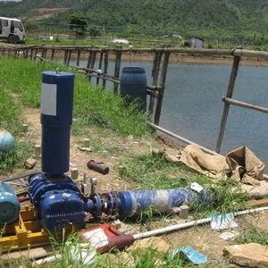 Peniup akar untuk air mancur akuakultur: aerasi untuk pengolahan air buntut kolam ikan & filtrasi Ekologis - Product Image 5