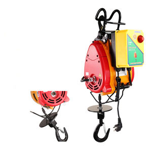 Diskon besar 300 kg traksi elektrik portabel <span class=keywords><strong>Hoist</strong></span> 220 v untuk penggunaan rumah - Product Image 3