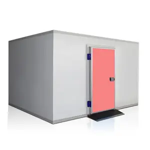 Small Container Walk In Freezer Unit Cold Room Commercial Refrigeration Cold Storage For Fish Meat Vegetables