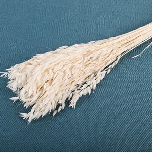 Decoración de Bodas al por Mayor, Arreglos de Flores Secas, Flores de Avena Secas Naturales Preservadas para Ramos de Flores para el Hogar, Decoración de Bodas - Product Image 5