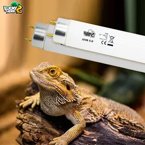Factory Directly Supply T5 8W 24W Rainforest Frog 5.0 UVB UVA Bask Reptile Bulb Light Tube