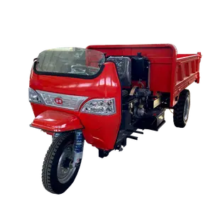 Engine agricultural Tricar small Truck Mobility adults cheap cargo electric tricycle for sale