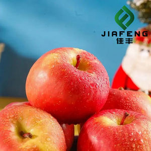 Manzanas Fuji <span class=keywords><strong>de</strong></span> Calidad <span class=keywords><strong>de</strong></span> Exportación: <span class=keywords><strong>Donde</strong></span> la Crocancia se Une con el Dulce Intenso - Product Image 4