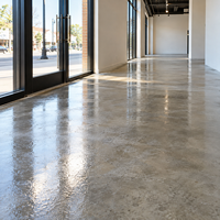 Primaire de sol à faible teneur en COV, inodore, écologique, séchage rapide, sans joint, pour atelier, bureau, salle d'exposition, OEM, vente en gros, fourniture personnalisée