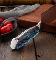 Ensemble de 9 couteaux de cuisine de luxe écologiques en acier Damas à 67 couches avec manche en plastique, couteau de chef, couteau à boucher, couteau à pain, couteau à steak