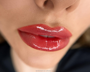 Encre de tatouage pour lèvres et sourcils de renommée mondiale, la plus vendue, de haute qualité, tatouage permanent pour cils et lèvres, plusieurs couleurs, OEM - Product Image 5