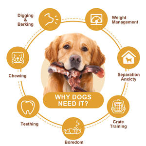 Evcil Hayvan Oyuncağı Köpek Kemiği Molar Çubuk Çiğneme Dayanıklı Köpek Oyuncağı İnteraktif Eğitim Malzemeleri - Product Image 6