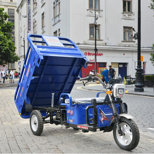 Tricycle électrique de ferme en acier inoxydable de haute stabilité de 1.6m personnalisable tricycle de cargaison adulte de 11m batterie électrique 60v - Product Image 1