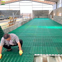 Système de plancher en béton robuste pour mangeoire à sel avec clôture pour ferme ovine de 3000 têtes