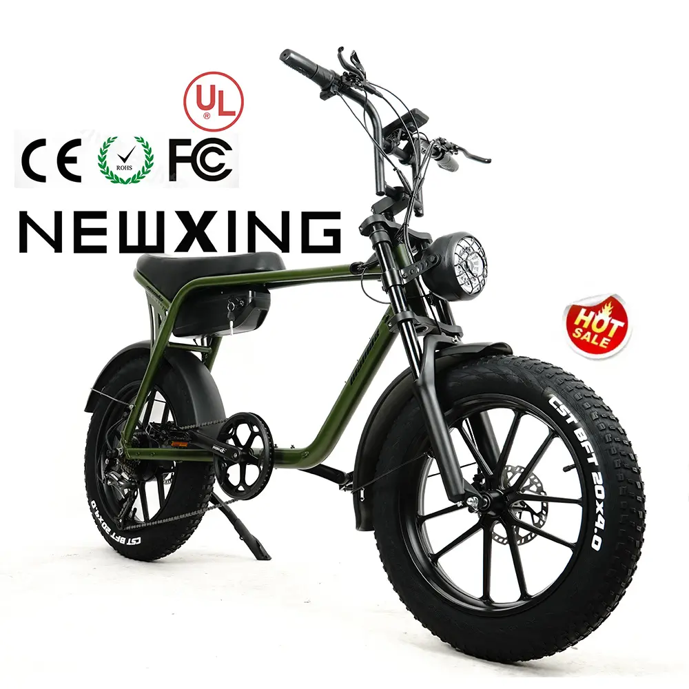 Newxing gorda bicicleta elétrica, mountain bike super road e-bike 73 750w e bicicleta gorda para super e-dirt bike