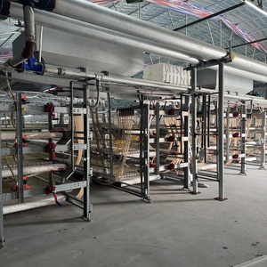 <span class=keywords><strong>Pollitos</strong></span> <span class=keywords><strong>de</strong></span> engorde automáticos, batería <span class=keywords><strong>de</strong></span> cultivo, jaula <span class=keywords><strong>de</strong></span> cría <span class=keywords><strong>de</strong></span> pollos y pájaros para cría <span class=keywords><strong>de</strong></span> pollos - Product Image 1