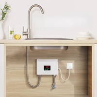 Chauffe-eau électrique mural instantané antique pour cuisine, 1 pièce, en acier inoxydable CE, bouton tactile, pièces de rechange gratuites, IPX4