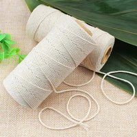 Prix de gros coloré mur décoratif macramé cordon fait à la main 2mm coton tressé corde coton torsadé pour emballage de bricolage