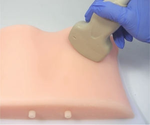 Ilmu Kedokteran Model Tusukan Ginjal Dipandu Oleh Ultrasound untuk Pelatihan B Praktek Pengajaran Perforasi Ginjal Ultrasonik - Product Image 4