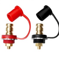 2 bornes de batterie à vis 3/8 po avec capuchon 250A pour chargeur de batterie à distance, accessoires de connecteur pour auto, camion, marine
