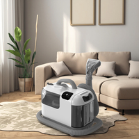 Nouveau Nettoyeur Vapeur Électrique Portable 3 Modes 1200W pour Tapis, Tissus d'Ameublement et Tissus d'Intérieur, Vapeur 5 Bars, Vente Chaude 2025