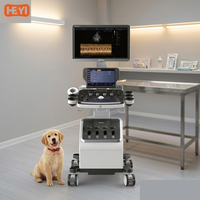 Système d'échographie vétérinaire numérique couleur Doppler HEYI P70vet 21,5 pouces sur chariot pour chiens, chats et bovins en clinique animale