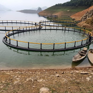 Cages à poissons rondes en HDPE pour l'aquaculture, pièges efficaces pour les rivières et les lacs - Product Image 2