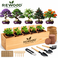 Kit de culture de bonsaï en gros avec boîte de plantation en bois, 5 variétés de graines, kit de démarrage DIY