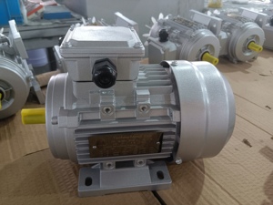 มอเตอร์ไฟฟ้าเหนี่ยวนำสามเฟส AC ความเร็วรอบต่ำ MS90S-4 1.1 กิโลวัตต์ 1.5 แรงม้า 1460 รอบต่อนาที แบบอะซิงโครนัส - Product Image 3