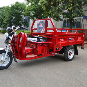 DAYANG tricycle <span class=keywords><strong>à</strong></span> <span class=keywords><strong>3</strong></span> <span class=keywords><strong>roues</strong></span> <span class=keywords><strong>moto</strong></span> <span class=keywords><strong>à</strong></span> essence motorisée ouverte de marque chinoise pour la livraison de passagers avec grand réservoir de carburant - Product Image 4