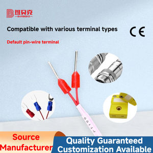 4Mm Roestvrijstalen Sonde Met Crimp Ring Terminal Thermische Weerstand Pt100/Pt1000 Rtd Temperatuur Sensor Instrument - Product Image 6