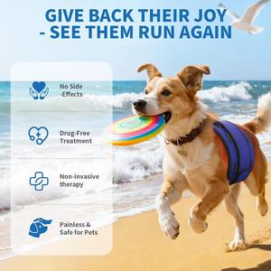 Perangkat Terapi Cahaya Merah untuk Hewan Peliharaan, Laris Manis 2025, Dapat Disesuaikan, Grosir, untuk Meredakan Ketidaknyamanan Gerakan Hewan Peliharaan - Product Image 5