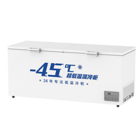Vente directe d'usine -30 ° Congélateur basse température de grande capacité C 460L pour usage commercial et domestique