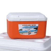 Ensemble de 5 glacières isothermes 45L pour aliments et boissons, camping, pique-nique, voiture, maison, voyage et extérieur