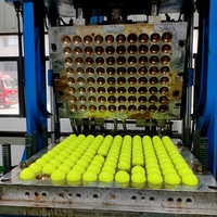 Ballon de padel professionnel de haute qualité, 45 % de laine, haute élasticité, durable, style cage, lot de 3.