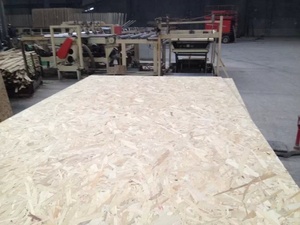 Lote de 9mm, 12mm, 15mm, 18mm, SB <span class=keywords><strong>3</strong></span> SB Sb <span class=keywords><strong>2</strong></span> Plywood ririented and trand ooard - Product Image 6