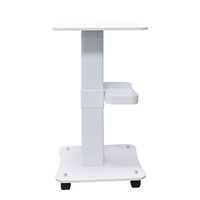 Chariot d'Appareils de Beauté Multifonctionnel avec Panier de Rangement et Roulettes Silencieuses pour Salon, Spa, Clinique