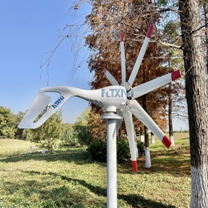 Aerogenerador de 1kw para Uso Doméstico, Energía Gratuita, Aerogenerador de 1000w, Turbinas Eólicas de 8 Aspas en Venta - Product Image 3