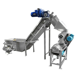 Trái cây rau công nghiệp vít loại dứa thảo mộc vắt nước trái cây để bán - Product Image 6