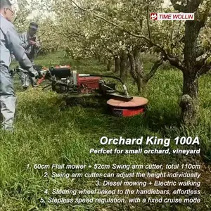 2024 prefecto huerto viñedo autopropulsado brazo oscilante Mayal cortacésped caminar detrás de pequeño Orchard King 100A bajo el árbol segar la vid