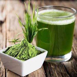 Poudre de jus d'herbe d'<span class=keywords><strong>orge</strong></span> jeune superaliment naturel en vrac – Aliment santé pour boissons saines et vertes - Product Image 3