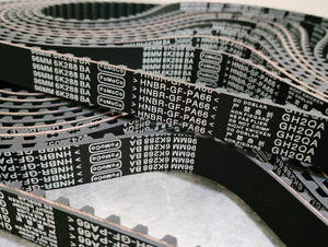 <span class=keywords><strong>Courroie</strong></span> de <span class=keywords><strong>distribution</strong></span> (117x22mm) pour <span class=keywords><strong>FORD</strong></span> Focus 1.6 2012- <span class=keywords><strong>Fiesta</strong></span> 1.6 2004- Ecosport 1.5 2013 96MM6K288BA 1004299 C20112201 96MM6K288A2A - Product Image 5