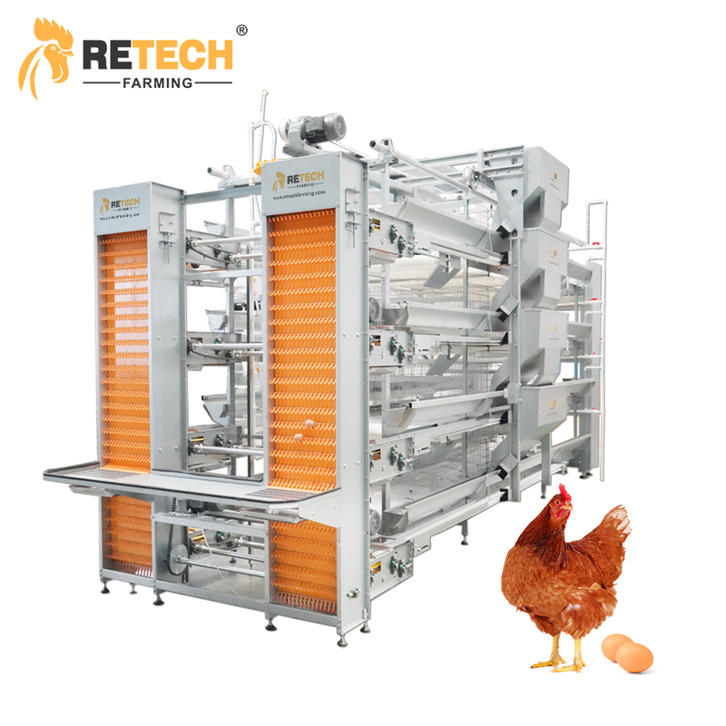 Automatic Egg Layer Chicken Cage for