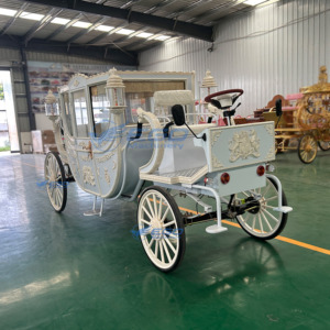 Carrosse de mariage en or blanc de style royal, carrosse élégant pour mariage indien, buggy de princesse pour familles royales - Product Image 5