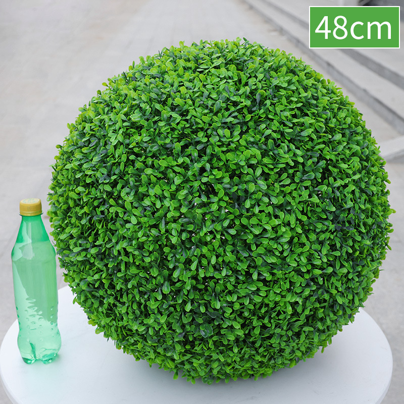 Vert 6